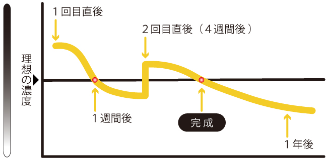 アートメイク継続期間図